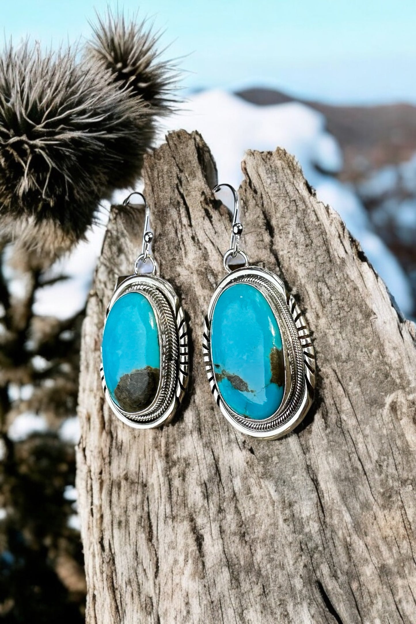 ✨Moonlit Mesa Sonoran Turquoise Earrings✨