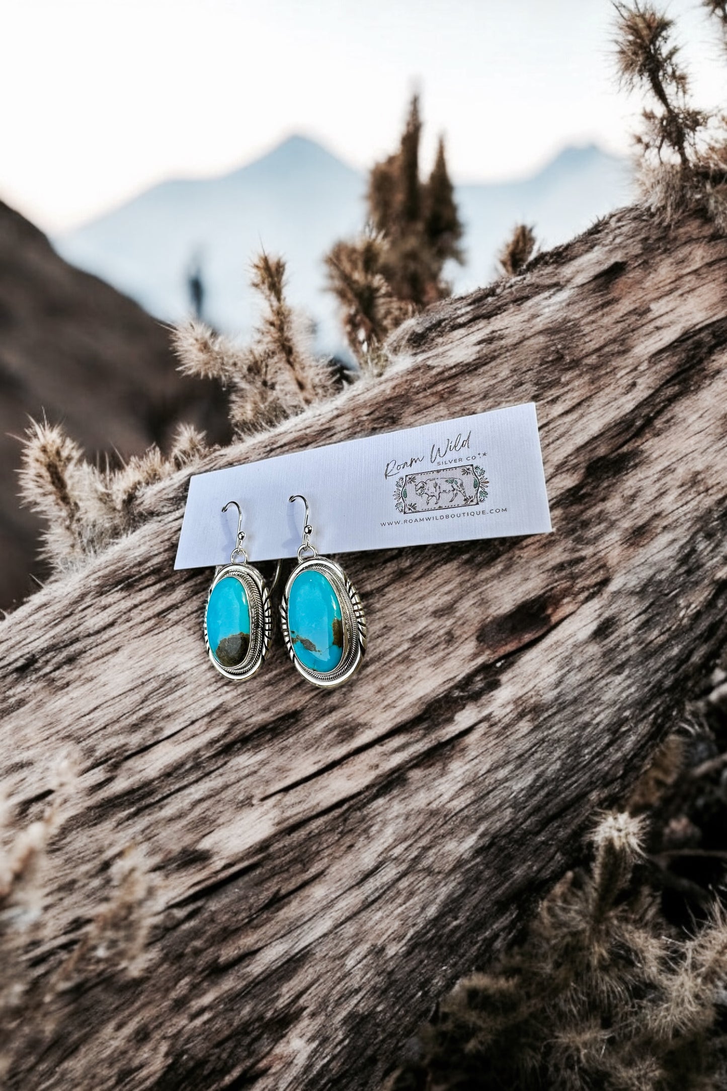 ✨Moonlit Mesa Sonoran Turquoise Earrings✨