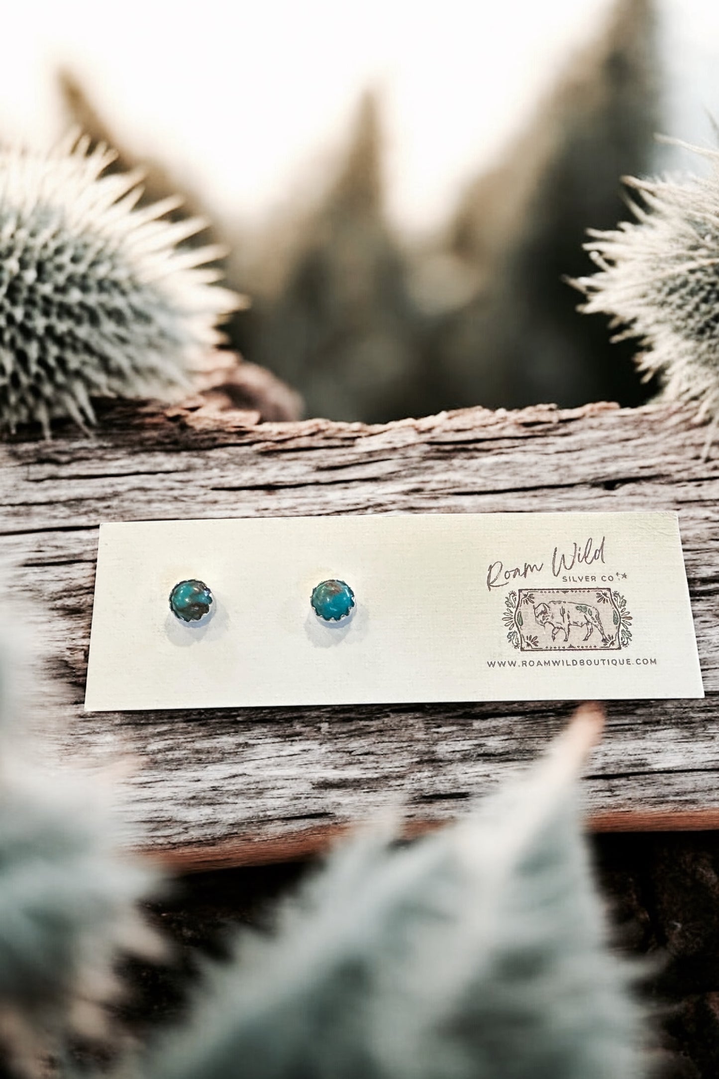 Dainty Desert 🌵 Turquoise Studs 3mm